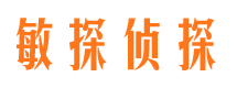 惠民市侦探